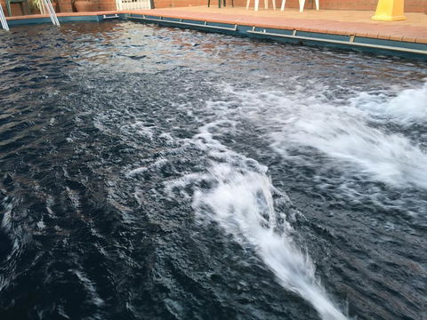 Dragon Phoenix Resort - Holiday Byron Bay 1