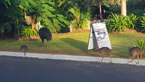 Driftwood Bed And Breakfast - Holiday Byron Bay 1