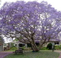 Ecotel Narooma - Holiday Byron Bay
