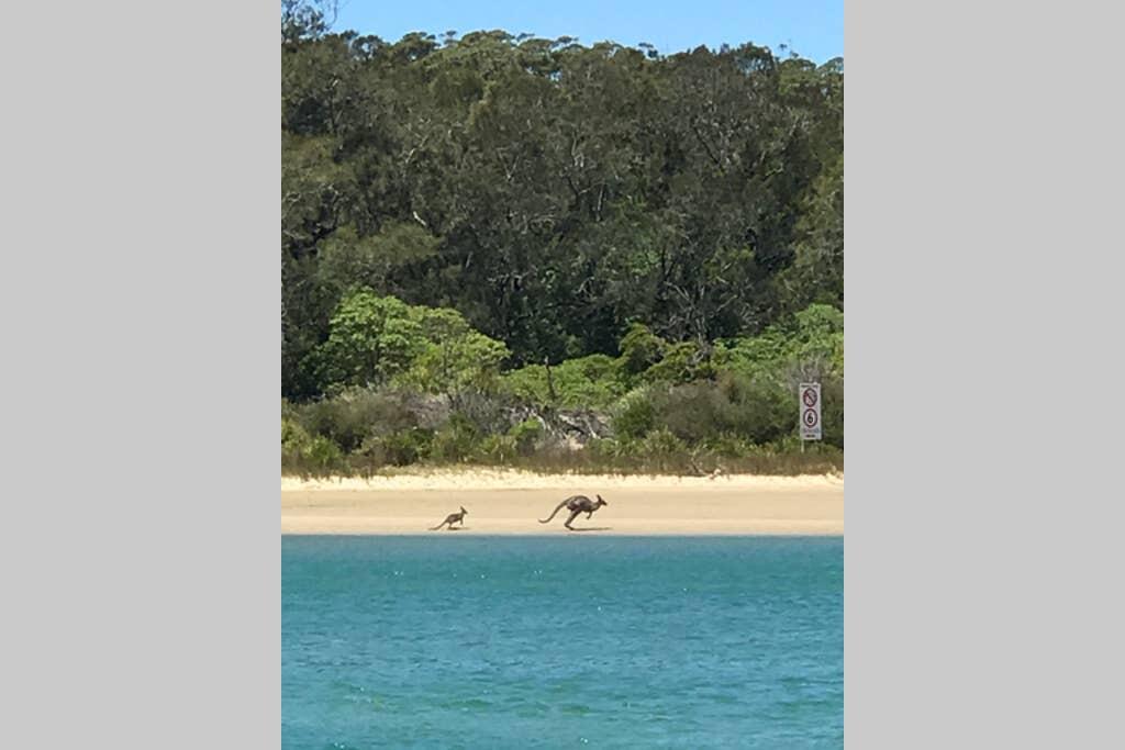 Bream Beach NSW Holiday Byron Bay