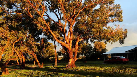 French Island Cottage - Holiday Byron Bay 1