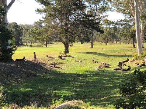 Golf View Motel - Holiday Byron Bay 1