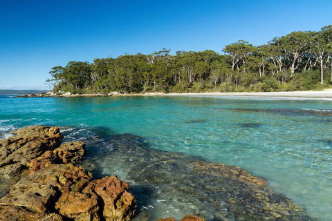 Gorgeous Beachside Cottage Jervis Bay - Holiday Byron Bay 0