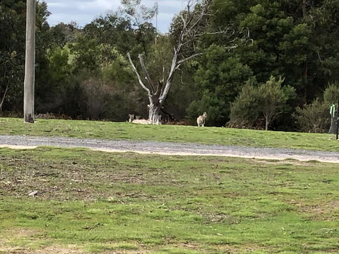 Grampians Old Man Emu Stay - Holiday Byron Bay 3