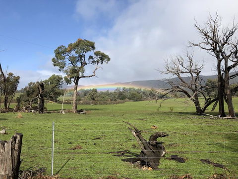 Grampians Old Man Emu Stay - Holiday Byron Bay 2