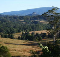 Grey Gum Lodge