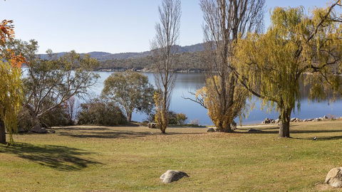 Grey Kangaroo- On Lake Jindabyne Foreshore - Holiday Byron Bay 1