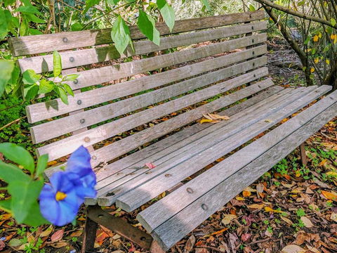 Hakea Bush Cabin - Holiday Byron Bay 3