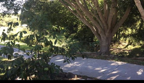 Handford Gardens - Holiday Byron Bay 2