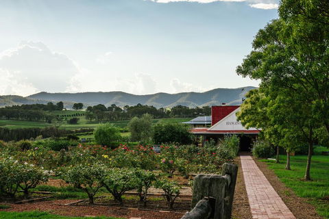 Hanging Tree Wines - Holiday Byron Bay 0