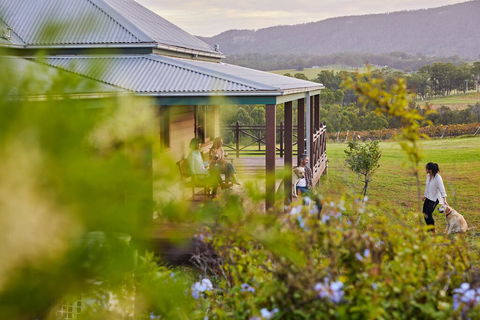 Hanging Tree Wines - Holiday Byron Bay 3