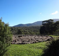 Hawksview at Mafeking - Holiday Byron Bay