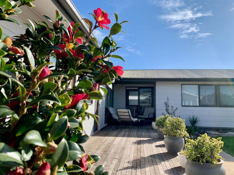 Homely Getaways In Surf Beach - Pet Friendly - Holiday Byron Bay 0