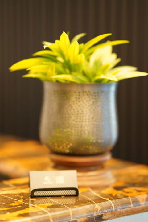 Jephson Hotel & Apartments - Holiday Byron Bay 3