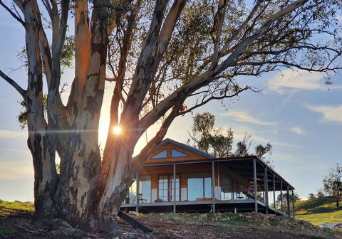 Kestrel Nest EcoHut - Holiday Byron Bay 0