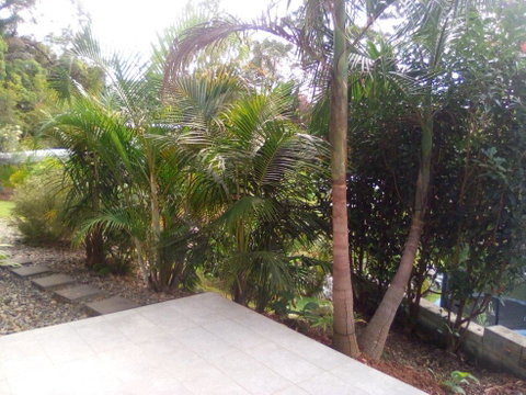 Korora Guest House - Holiday Byron Bay 2