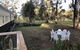 Krinklewood Cottage & Train Carriages - thumb 3