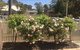 Maeville Cottage - thumb 3