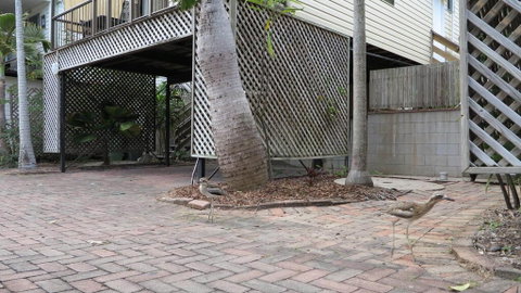 Magnetic Haven Unit 6 - Holiday Byron Bay 2