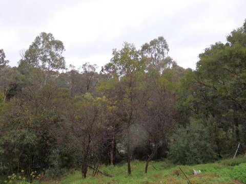 Mandall Avenue - Holiday Byron Bay 2