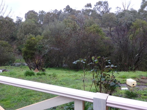 Mandall Avenue - Holiday Byron Bay 1
