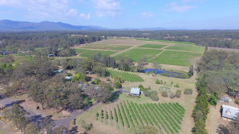 McCaffrey's Estate - Holiday Byron Bay 0