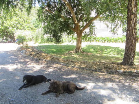 Molenda Lodge Farm Let - Holiday Byron Bay 3