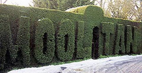 Mooltan House - Holiday Byron Bay 1