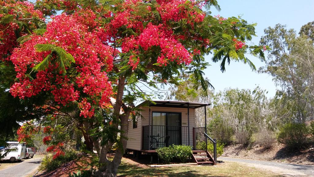 Ambrose QLD Holiday Byron Bay