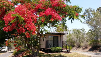 Book Mount Larcom Accommodation Holiday Byron Bay Holiday Byron Bay