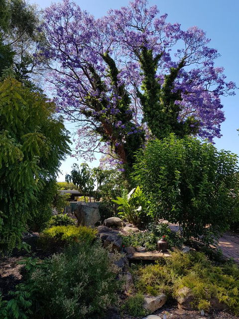 Jacaranda Hideaway Bed & Breakfast - Holiday Byron Bay 10