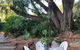 Jacaranda Hideaway Bed & Breakfast - thumb 15