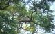 Jacaranda Hideaway Bed & Breakfast - thumb 0