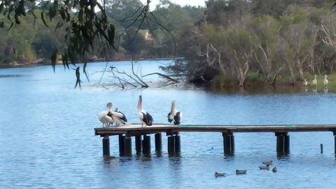Jacaranda Hideaway Bed & Breakfast - Holiday Byron Bay 18