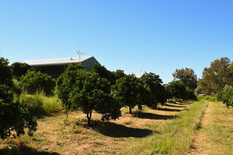 Swan Valley Sisters - Holiday Byron Bay 29