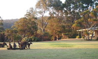 Book Walpole Accommodation Vacations Holiday Byron Bay Holiday Byron Bay