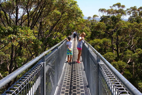 Bayside Villas - Holiday Byron Bay 16