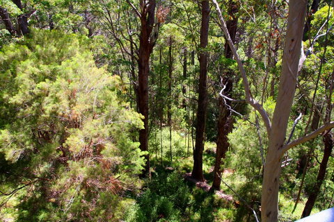 Bayside Villas - Holiday Byron Bay 5