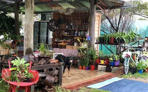Kellers Bed And Breakfast - Holiday Byron Bay 20