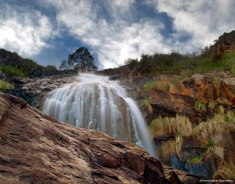Banksia Tourist Park - Holiday Byron Bay 17
