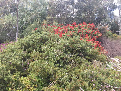 Tegwan's Nest Holiday Home - Holiday Byron Bay 42