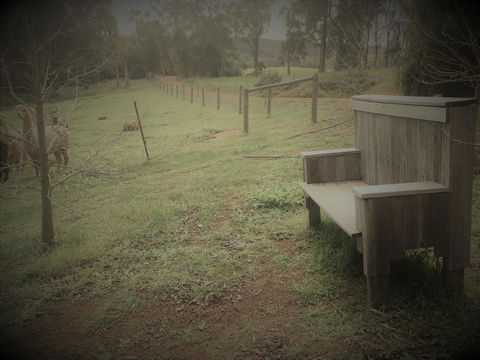 Tegwan's Nest Holiday Home - Holiday Byron Bay 43
