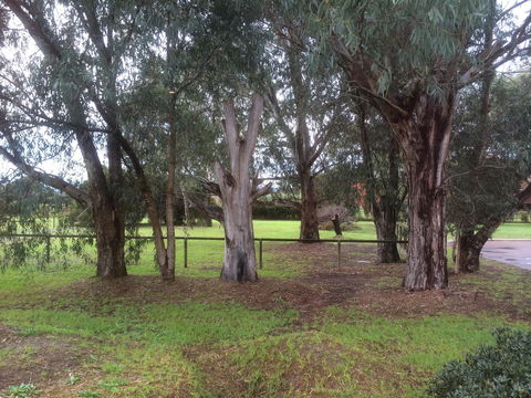 Nivalis Bed And Breakfast - Holiday Byron Bay 29