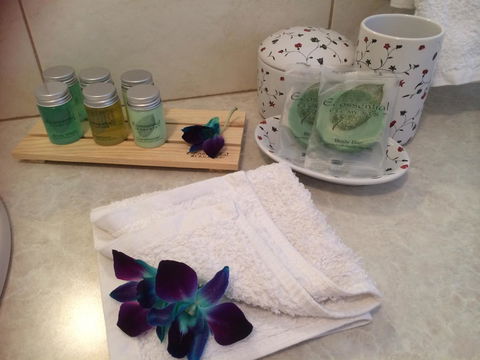 Nivalis Bed And Breakfast - Holiday Byron Bay 15
