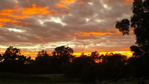 Windfall Estate Vineyard Cottage - Holiday Byron Bay 32