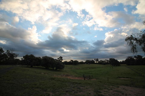Windfall Estate Vineyard Cottage - Holiday Byron Bay 33
