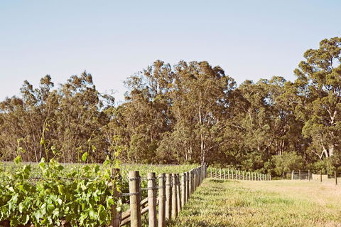 Windfall Estate Vineyard Cottage - Holiday Byron Bay 23