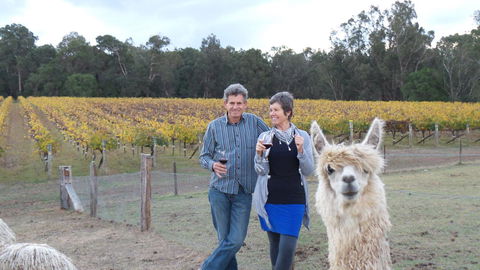 Windfall Estate Vineyard Cottage - Holiday Byron Bay 11