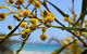 Eagle Bay House - thumb 28