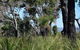 Eagle Bay House - thumb 32